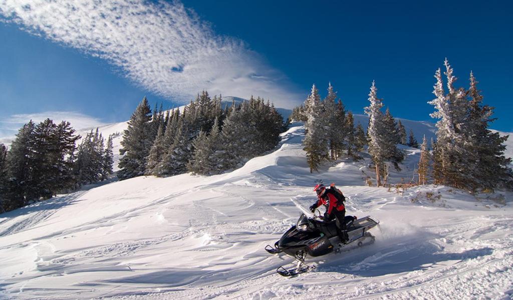 Lily Mountain Lodge - Amazing Mountains Views, Private Hot Tub, Great Location Эстес Парк Экстерьер фото